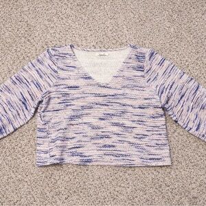 Madewell Cropped Blue and White V-Neck Sweater